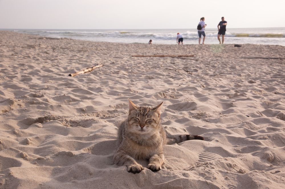 Photograph by Nadezhda Bakina