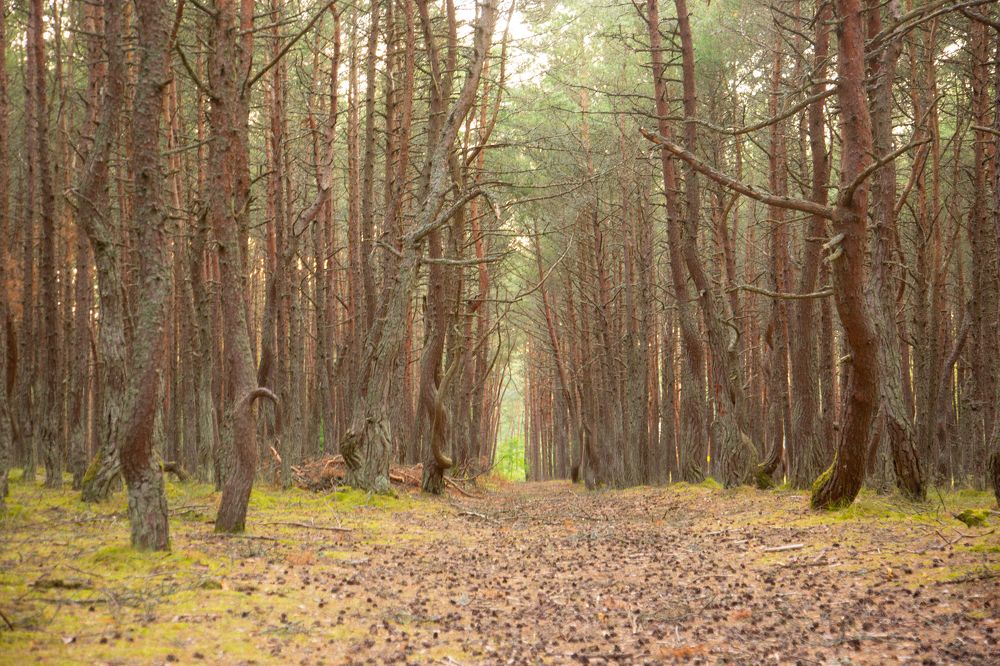 Photograph by Nadezhda Bakina