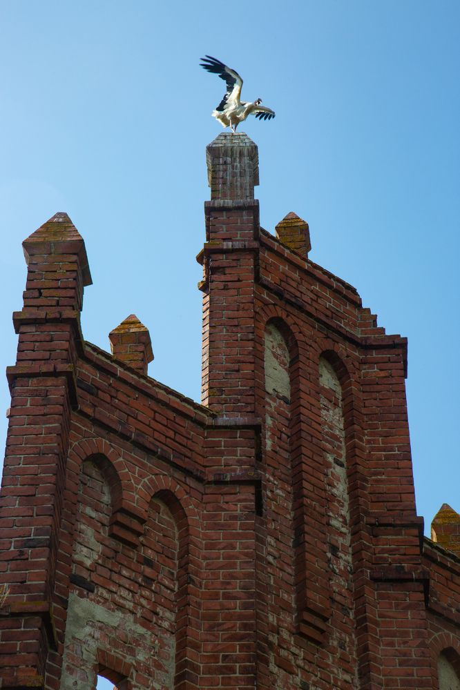 Photograph by Nadezhda Bakina