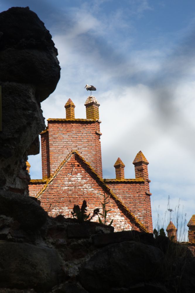 Photograph by Nadezhda Bakina