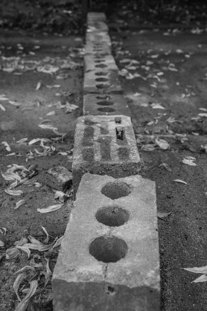 Photograph by Nadezhda Bakina