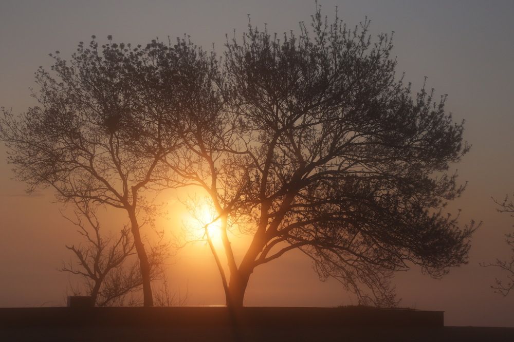 Photograph by 