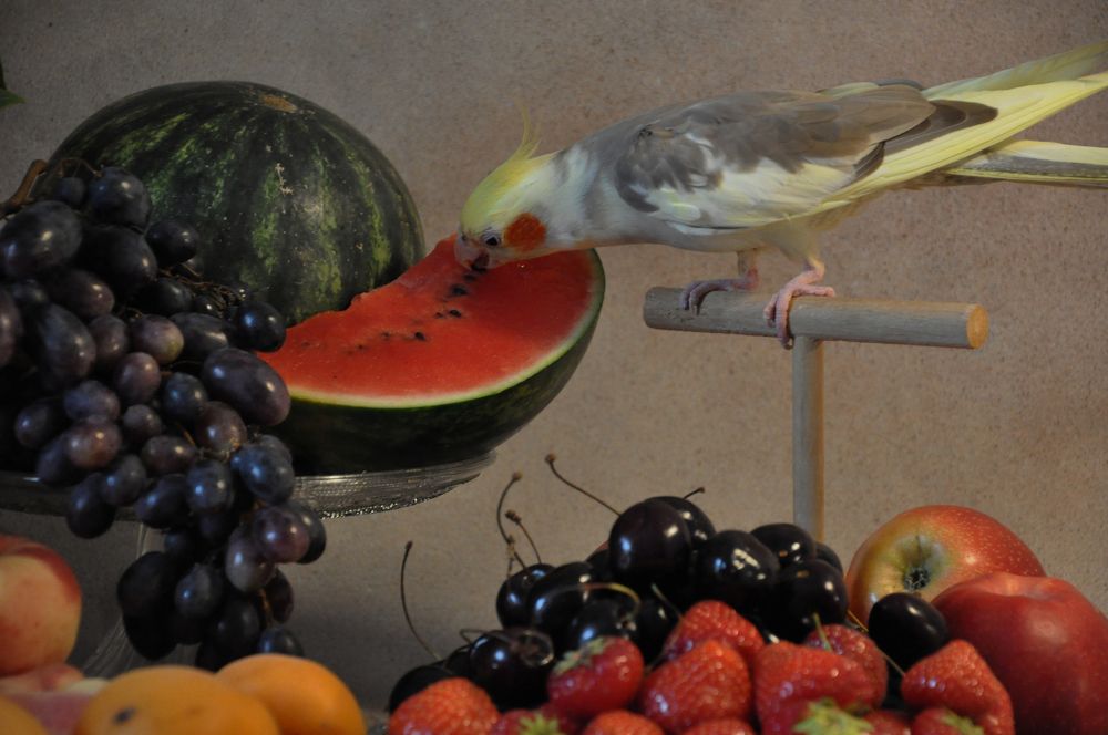 Photograph by Галина Лысых