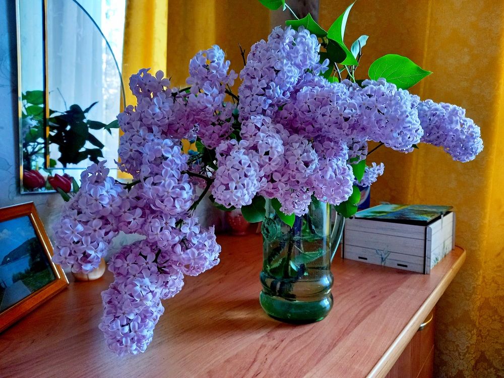 Photograph by Ольга Юрченко