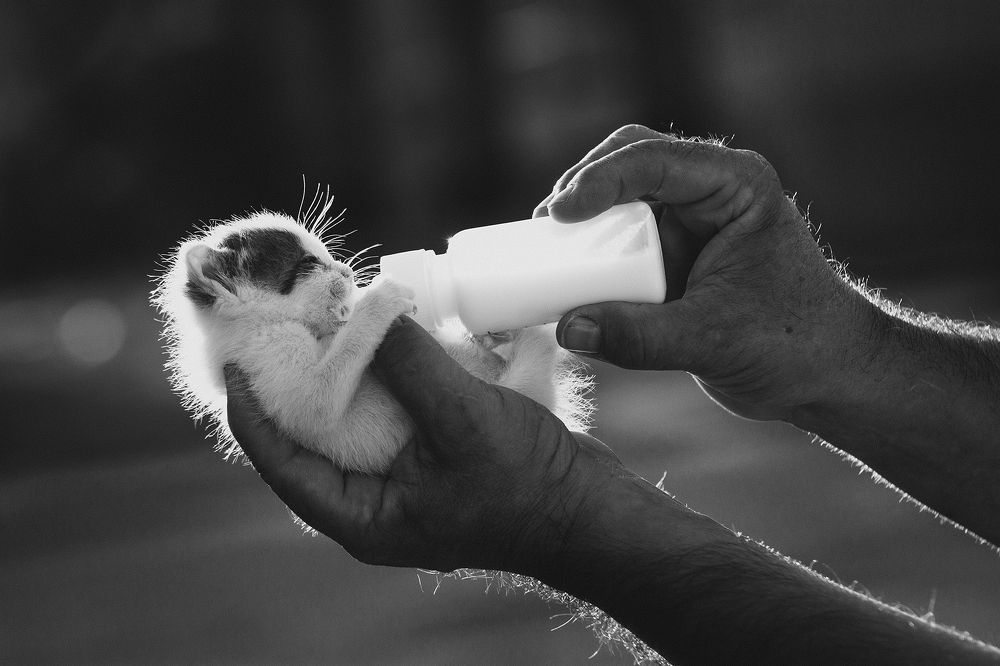 Photograph by Станка Петрова