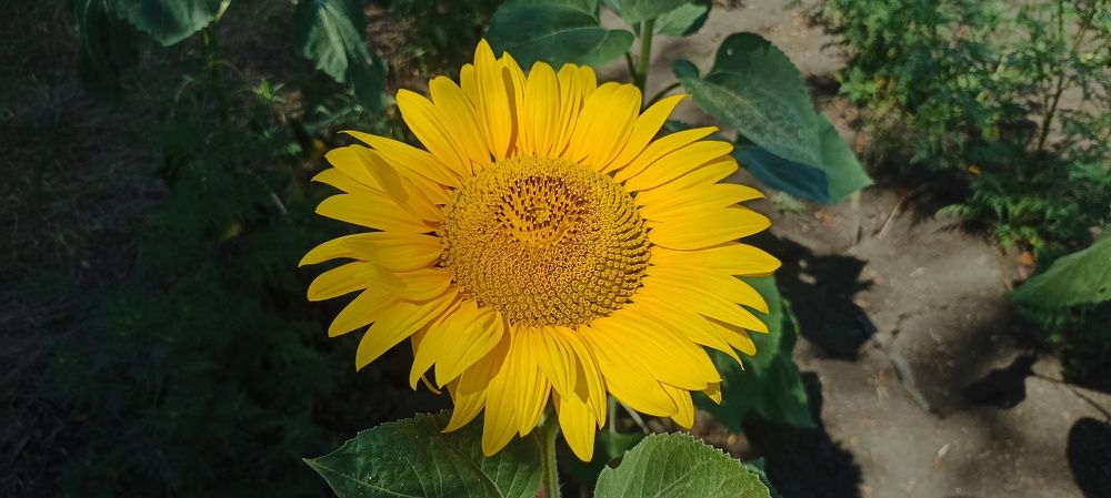 Photograph by Иван Левин