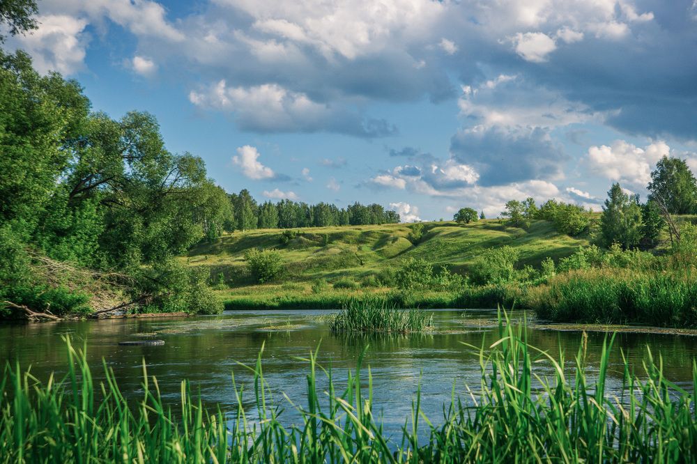 Photograph by Дмитрий Ряховский