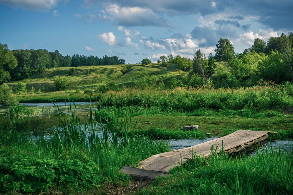 Photograph by Дмитрий Ряховский