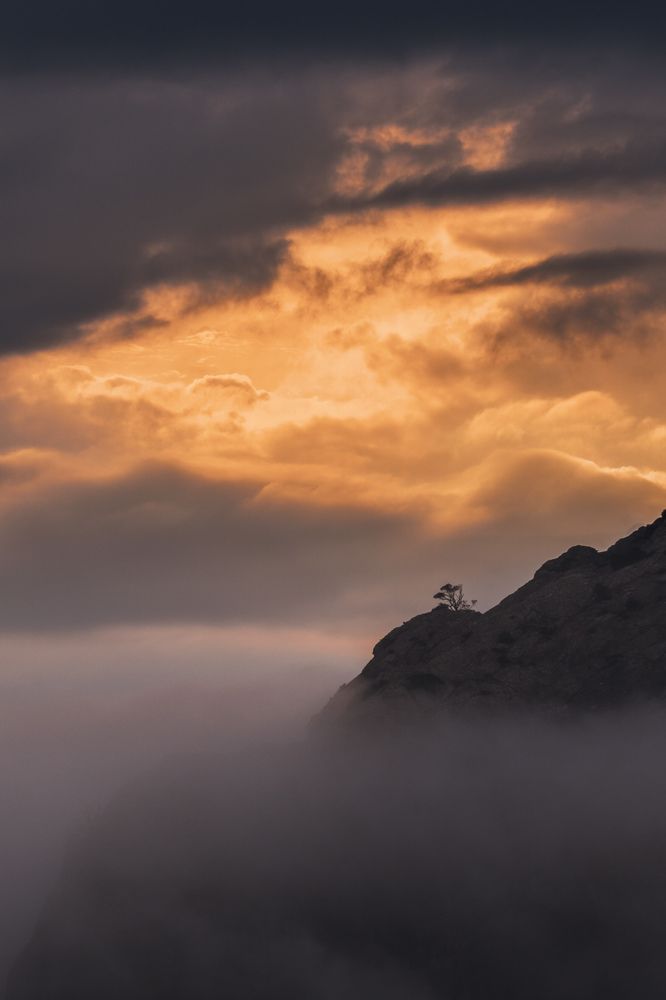 Photograph by Кривцов Андрей