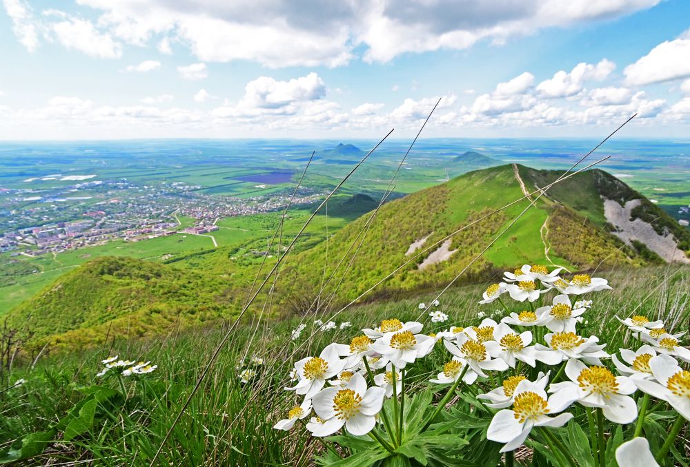 Photograph by Сергей Кривоносов