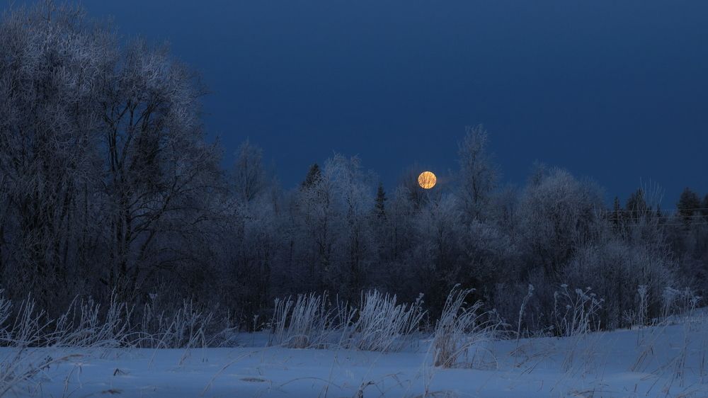 Photograph by Наталья Загайнова