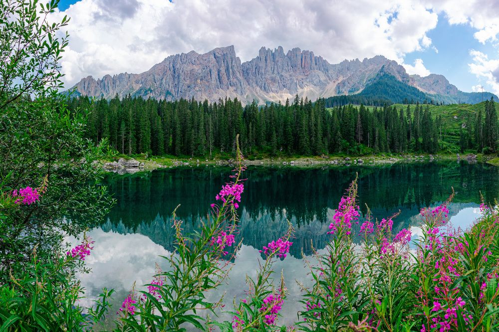 Photograph by Adam Zalewski