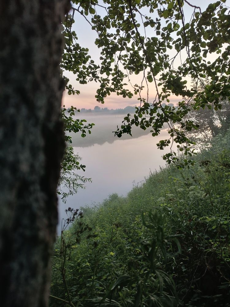 Photo #9326096