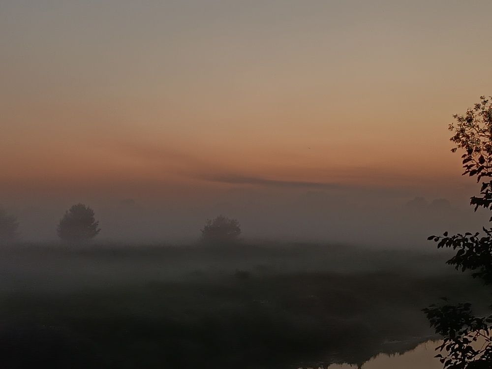 Photograph by Наталья Береговская