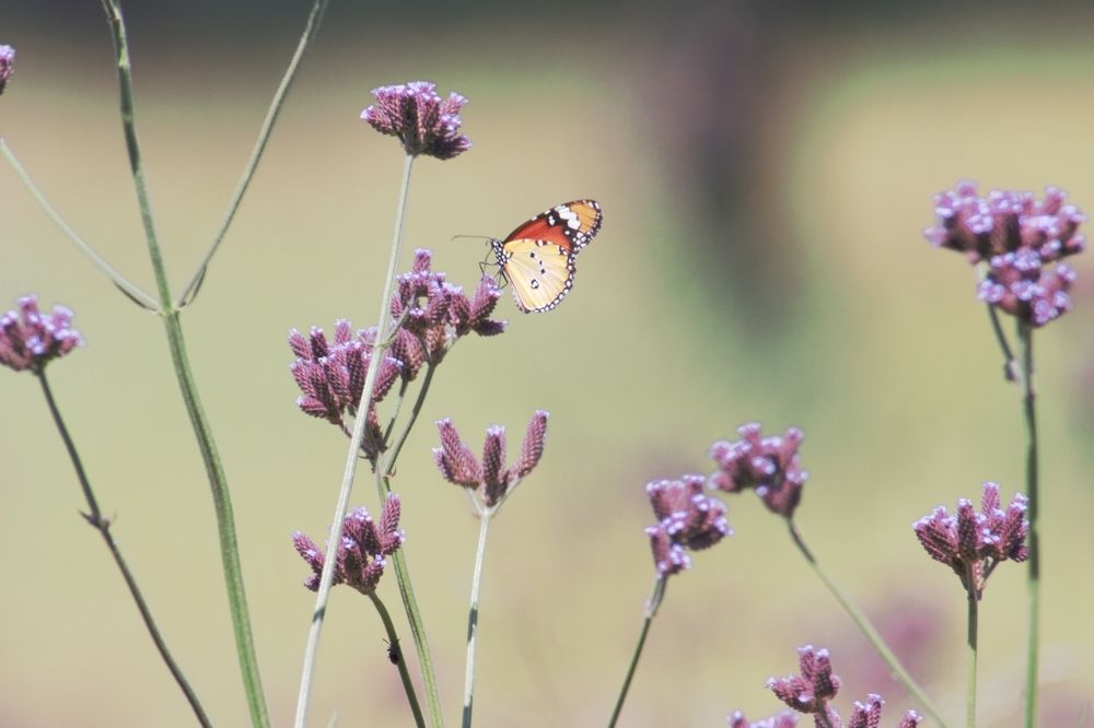 Photograph by Michelle Hart