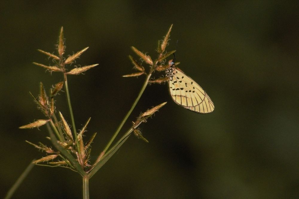 Photograph by Michelle Hart