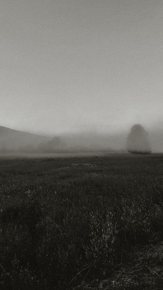 Photograph by Анастасия Парфенова