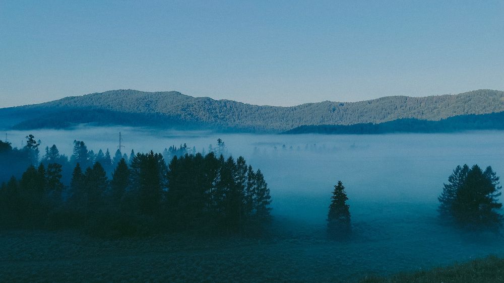 Photograph by Анастасия Парфенова