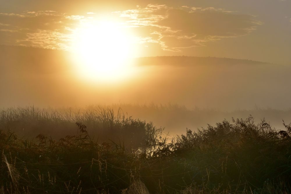 Photograph by Stipe Perkovic