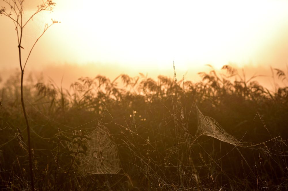 Photograph by Stipe Perkovic