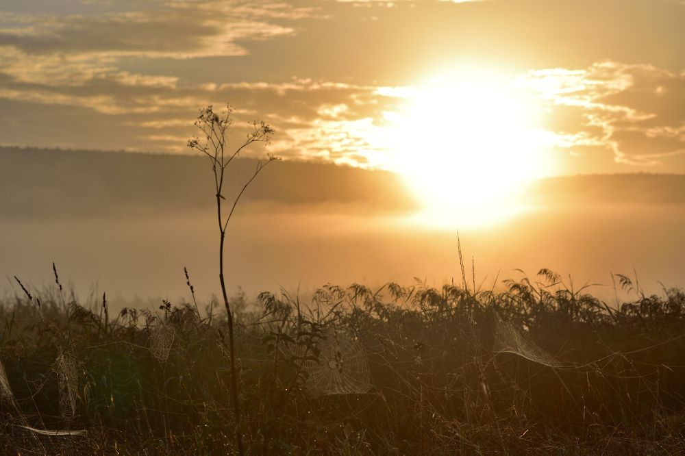Photograph by Stipe Perkovic