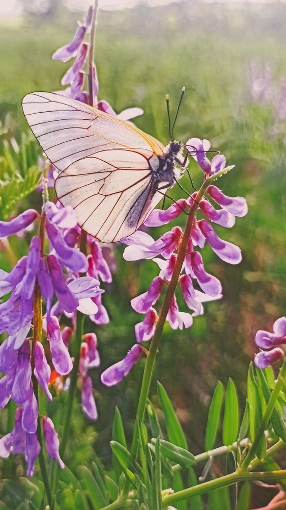 Photograph by Елена Кадаева