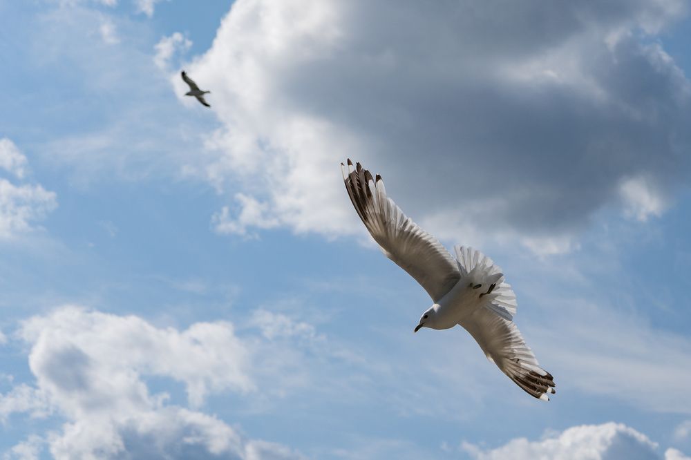 Летать в облаках