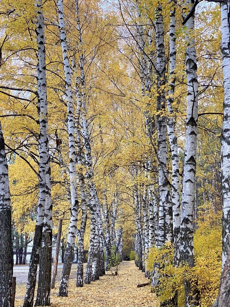 Фотография автора Бакалова Ирина