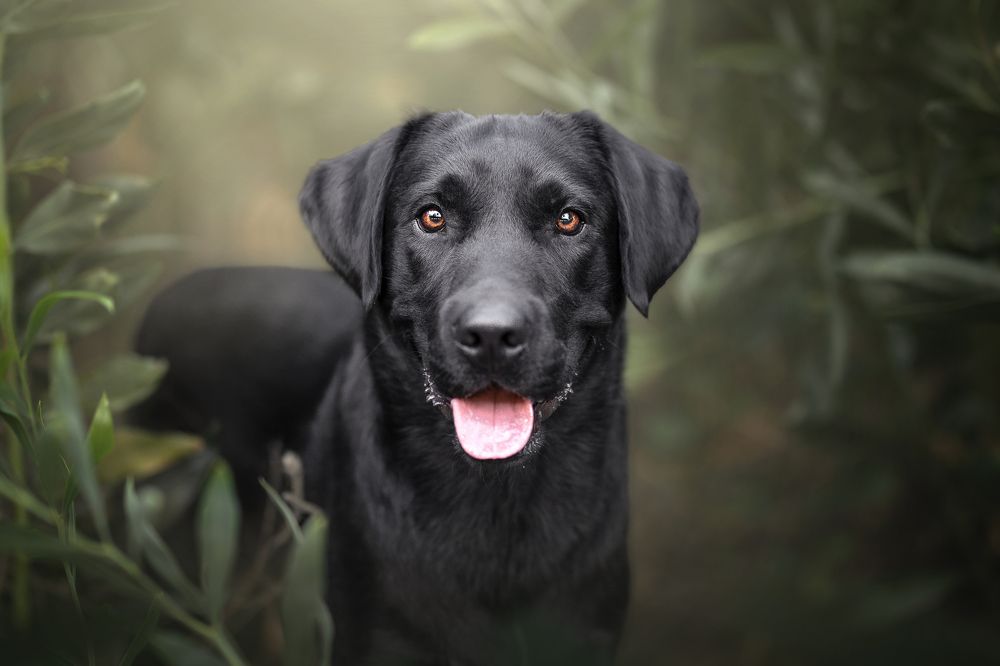 Фотография автора Ana Sánchez