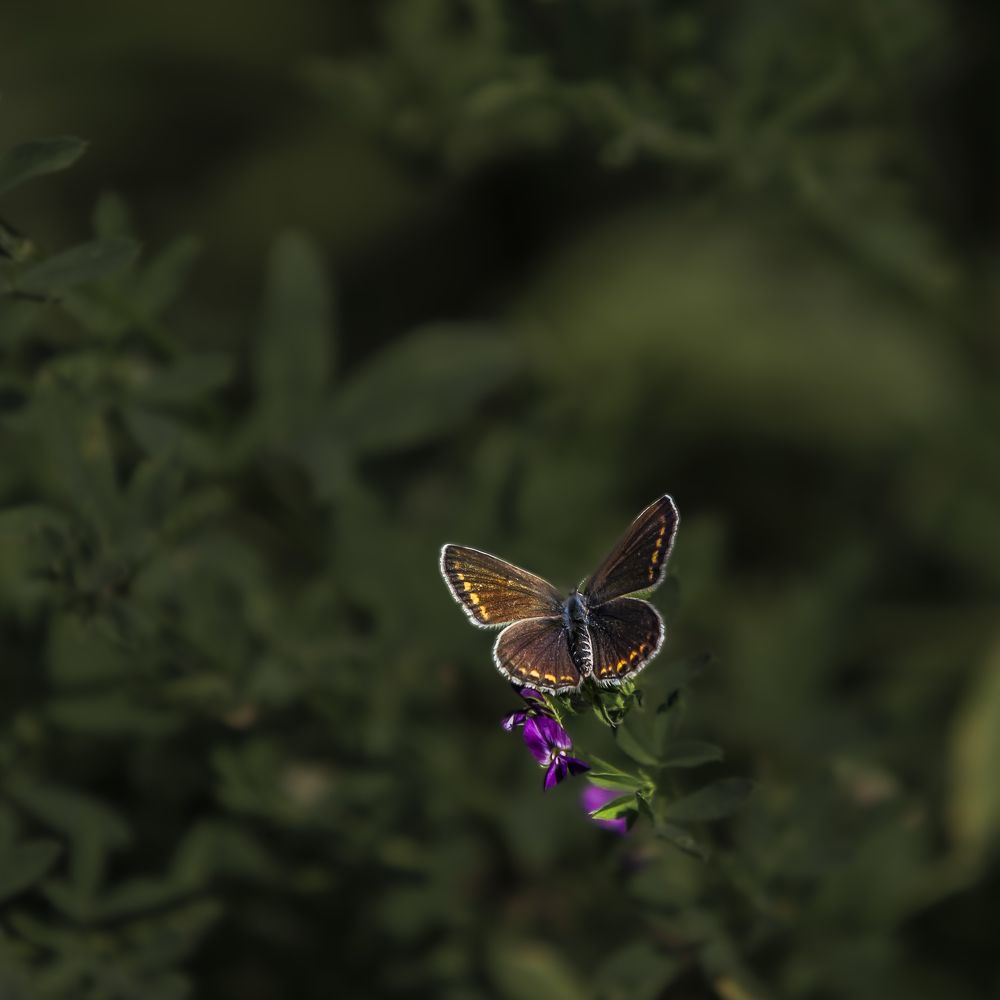 Photograph by Tatyana Polutina