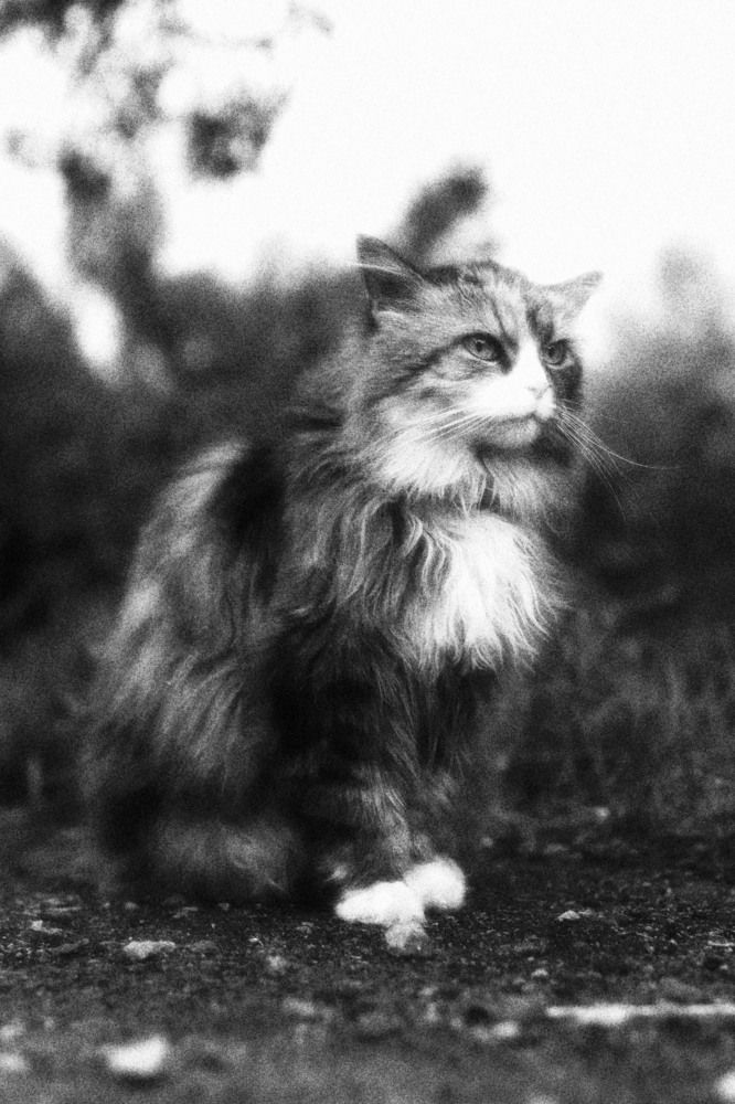 Photograph by Ульяна Кухновец