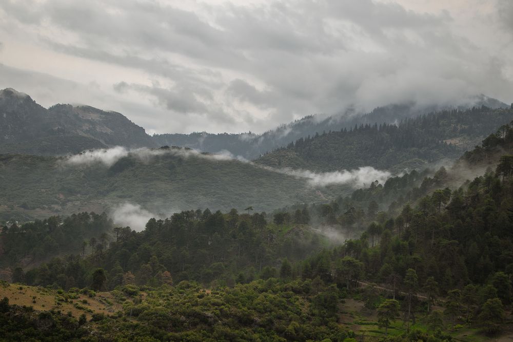 Photograph by wafae koubaa