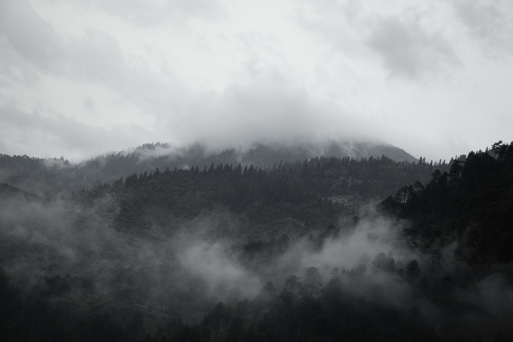 Photograph by wafae koubaa