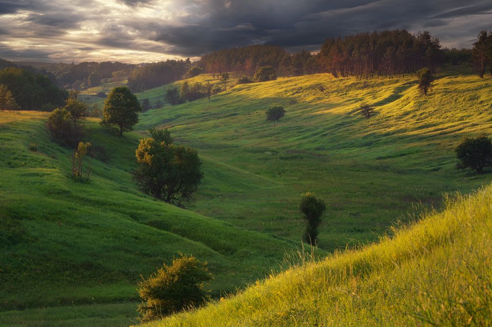 Photograph by Павел Абакумов