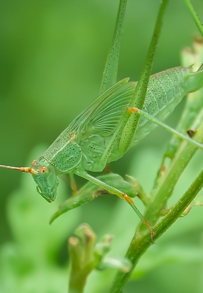 Photograph by Monoj Kumar Das