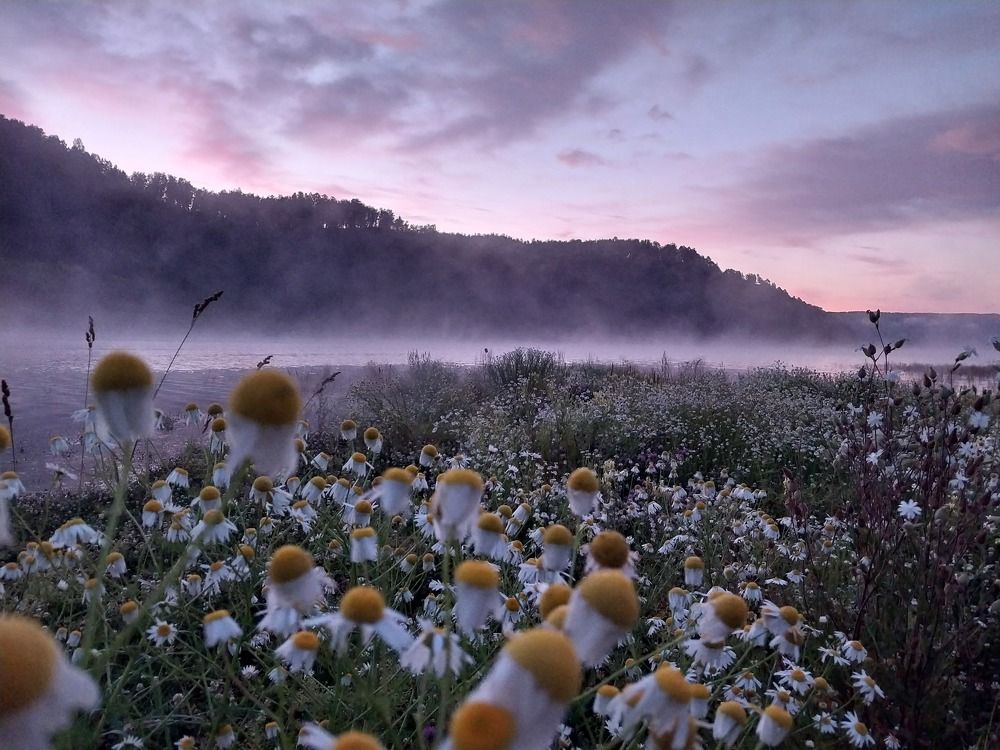 Photograph by Юлия Фирман