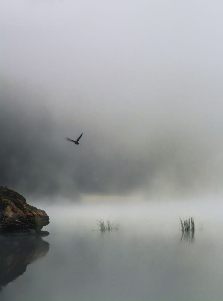 Photograph by Сергей Шварцман