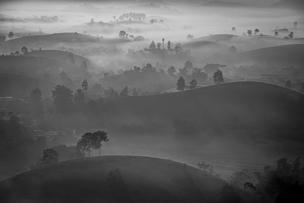 Photograph by Hanh P. T. Pham