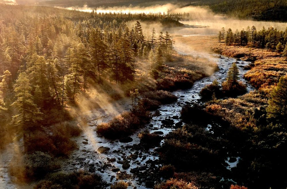 Протока в тумане