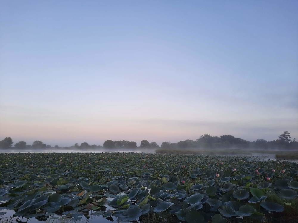 Photograph by Любовь Войтишина