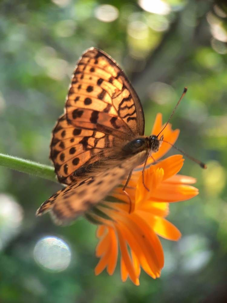 Photograph by Любовь Войтишина