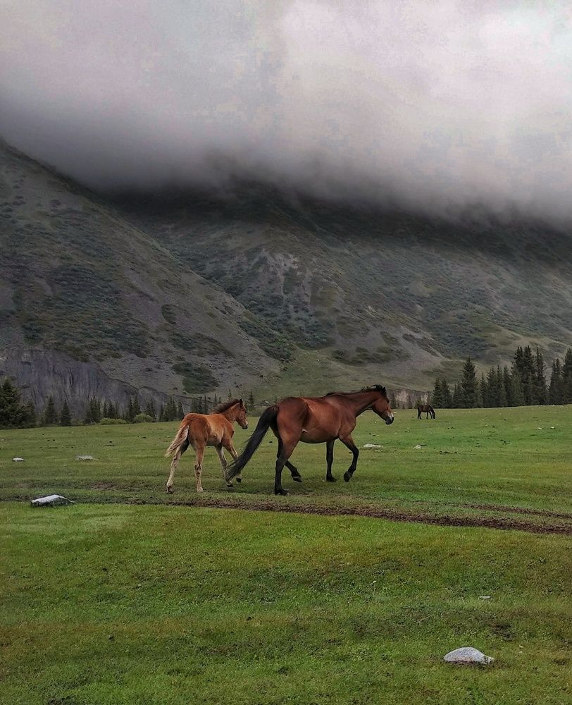 Photograph by Орынбек Асилбаев