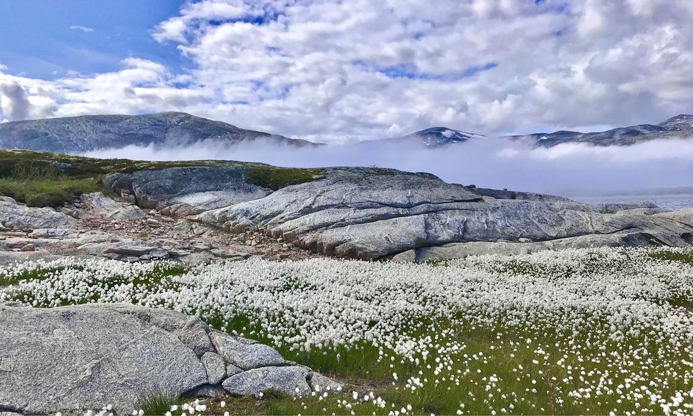 Photograph by Janina Segeda