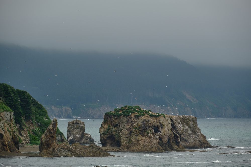 Photograph by Василий Арлашов