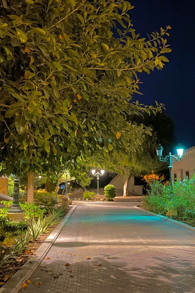 Photograph by Waleed Yousuf Alwahaibi