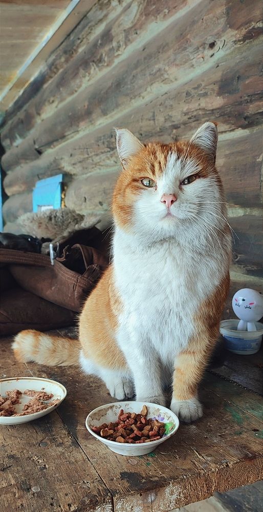 Photograph by Yulia Vodkina