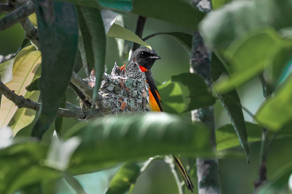 Photograph by Siddhartha Roy Choudhury