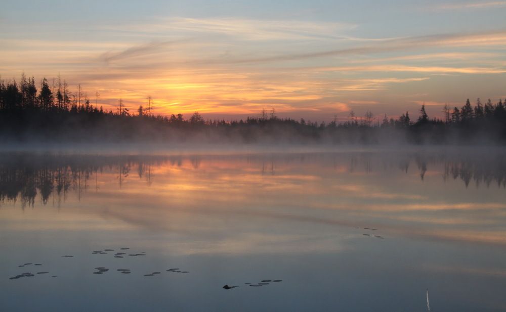 Photograph by Пётр Соколов