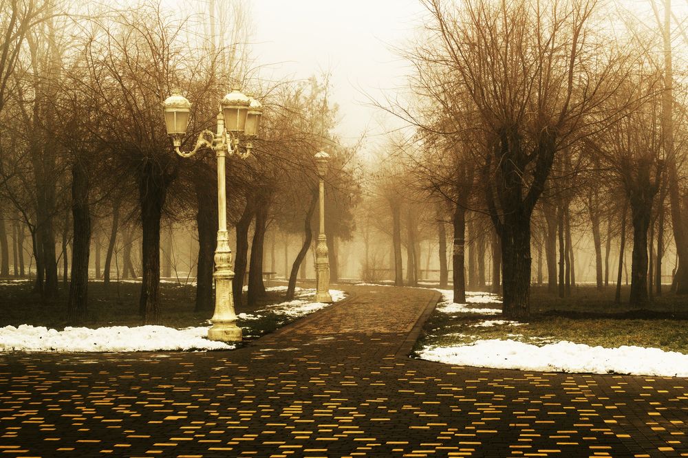 Photograph by Сергей Нестеров