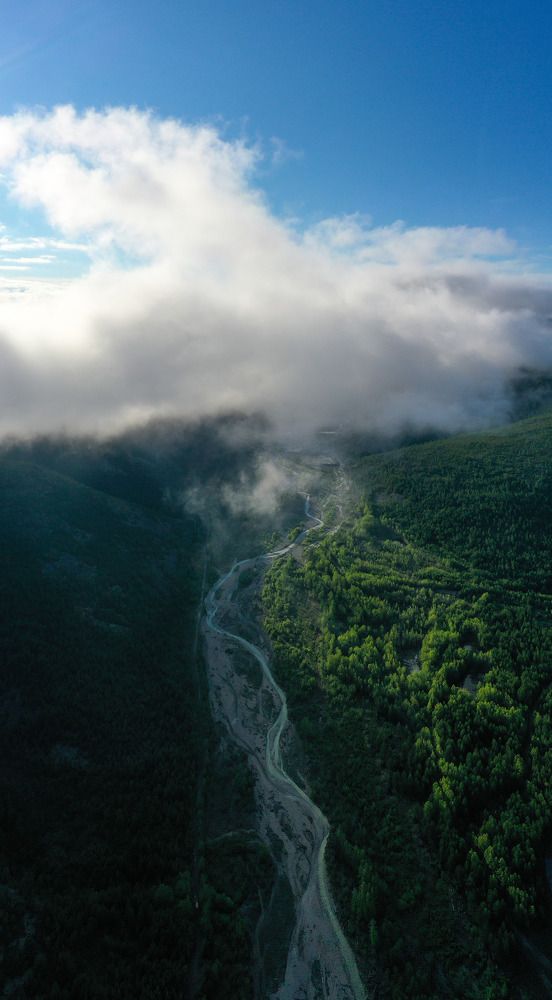 Вечерний туман